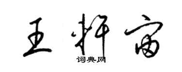 梁锦英王轩宙草书个性签名怎么写