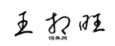 梁锦英王相旺草书个性签名怎么写