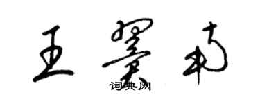 梁锦英王翼南草书个性签名怎么写