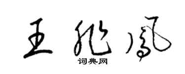 梁锦英王非凤草书个性签名怎么写