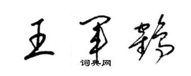 梁锦英王军鹤草书个性签名怎么写