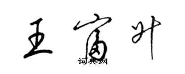 梁锦英王富升草书个性签名怎么写