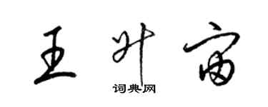 梁锦英王升宙草书个性签名怎么写