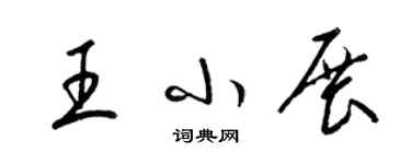 梁锦英王小展草书个性签名怎么写