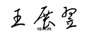 梁锦英王展翌草书个性签名怎么写