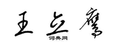 梁锦英王立鹰草书个性签名怎么写
