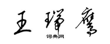 梁锦英王瑞鹰草书个性签名怎么写