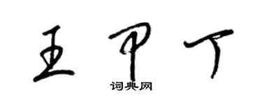 梁锦英王甲丁草书个性签名怎么写