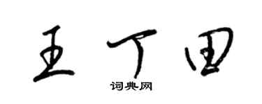 梁锦英王丁田草书个性签名怎么写