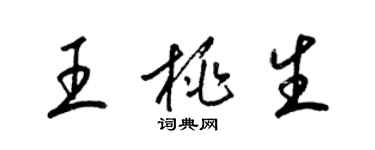 梁锦英王桃生草书个性签名怎么写