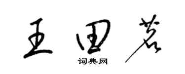 梁锦英王田茗草书个性签名怎么写