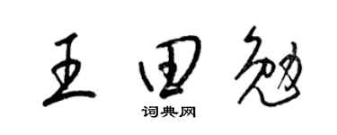 梁锦英王田勉草书个性签名怎么写