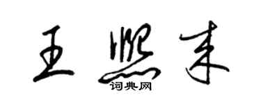 梁锦英王熙来草书个性签名怎么写