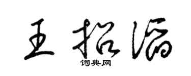 梁锦英王招滔草书个性签名怎么写