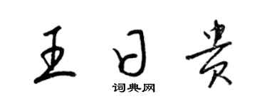 梁锦英王日贵草书个性签名怎么写