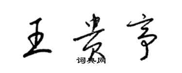 梁锦英王贵亭草书个性签名怎么写