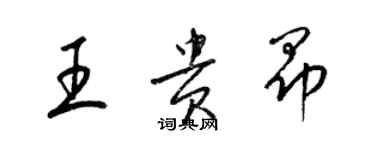 梁锦英王贵昂草书个性签名怎么写
