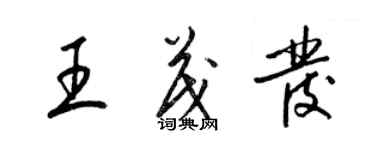 梁锦英王茂发草书个性签名怎么写