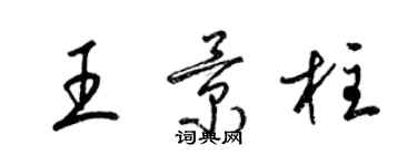 梁锦英王景柱草书个性签名怎么写