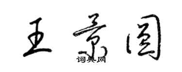 梁锦英王景圆草书个性签名怎么写