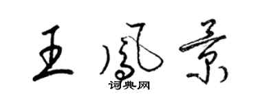 梁锦英王凤景草书个性签名怎么写