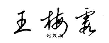 梁锦英王梅霞草书个性签名怎么写