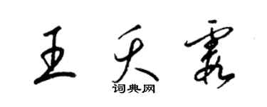 梁锦英王夭霞草书个性签名怎么写