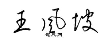 梁锦英王风坡草书个性签名怎么写