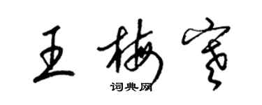 梁锦英王梅寒草书个性签名怎么写