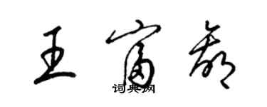 梁锦英王富赢草书个性签名怎么写