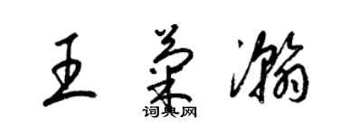 梁锦英王菊瀚草书个性签名怎么写