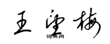 梁锦英王望梅草书个性签名怎么写
