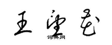 梁锦英王望花草书个性签名怎么写