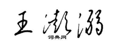 梁锦英王澎溺草书个性签名怎么写