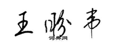梁锦英王盼韦草书个性签名怎么写
