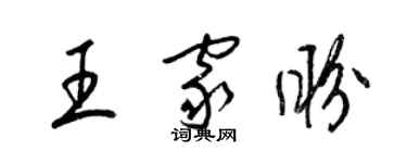 梁锦英王家盼草书个性签名怎么写