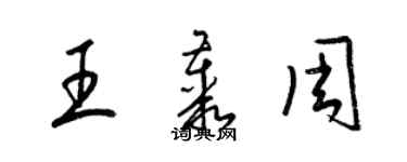 梁锦英王丛周草书个性签名怎么写