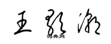 梁锦英王歌潮草书个性签名怎么写