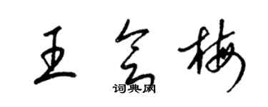 梁锦英王会梅草书个性签名怎么写