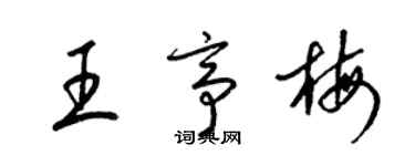 梁锦英王亭梅草书个性签名怎么写