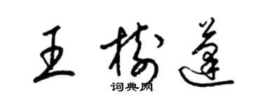 梁锦英王树蓬草书个性签名怎么写