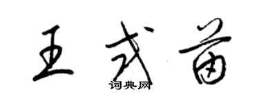 梁锦英王式苗草书个性签名怎么写
