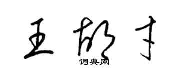 梁锦英王胡才草书个性签名怎么写