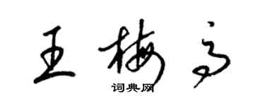 梁锦英王梅高草书个性签名怎么写