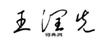 梁锦英王润先草书个性签名怎么写