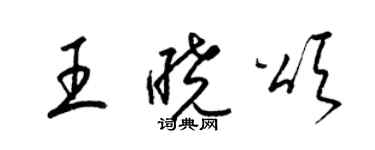 梁锦英王晓颂草书个性签名怎么写