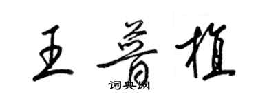梁锦英王普植草书个性签名怎么写
