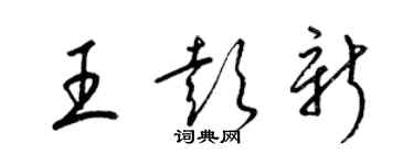 梁锦英王彭新草书个性签名怎么写