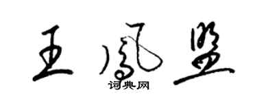 梁锦英王凤盟草书个性签名怎么写