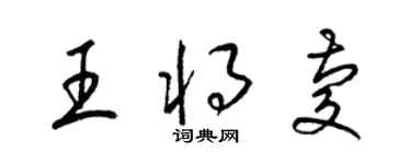 梁锦英王将庆草书个性签名怎么写